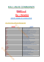 newbie (2).pdf
